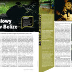 Gazeta Polska